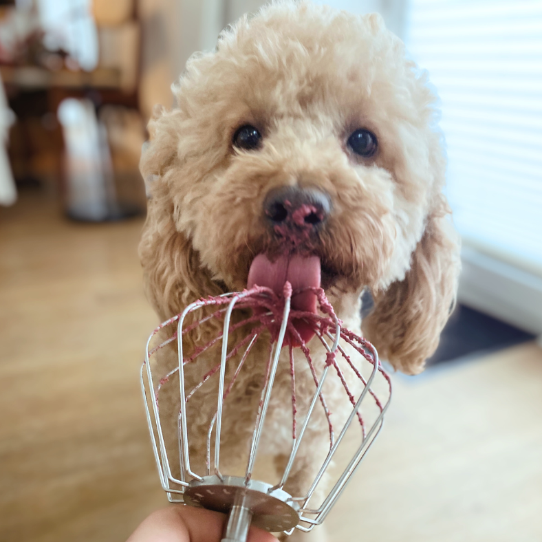 Hund snackt, Backmischung für Hunde