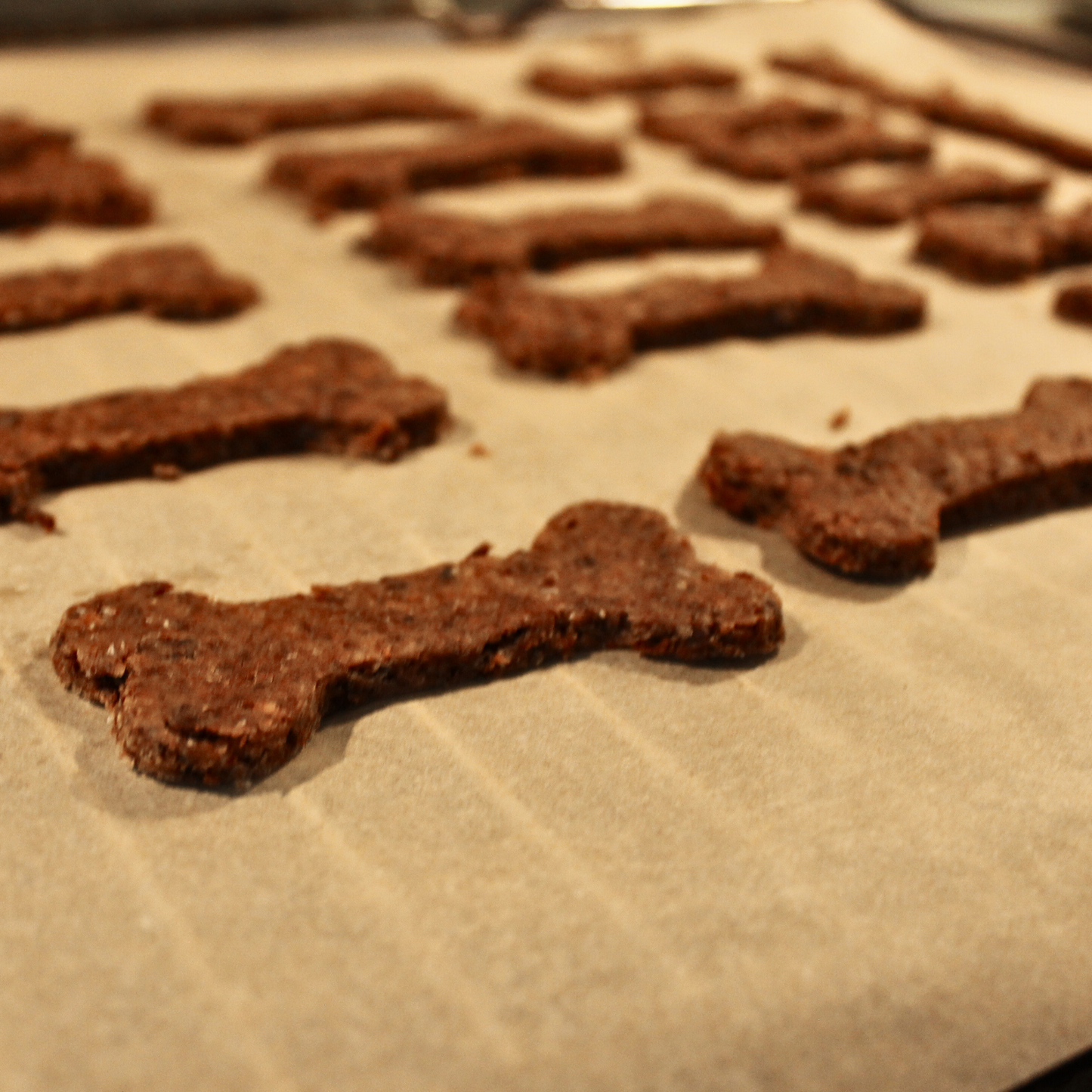 Pup-Bites Backmischung und Keksausstecher