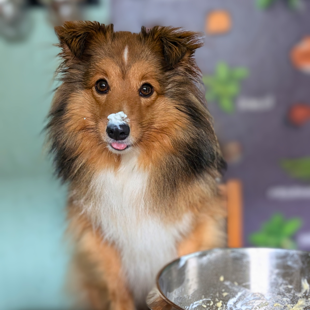 Pup-Cakes Backmischungen für Hunde
